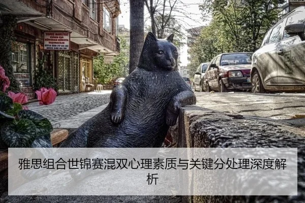 ya-si-zu-he-shi-jin-sai-hun-shuang-xin-li-su-zhi-yu-guan-jian-fen-chu-li-shen-du-jie-xi-3-668.jpg