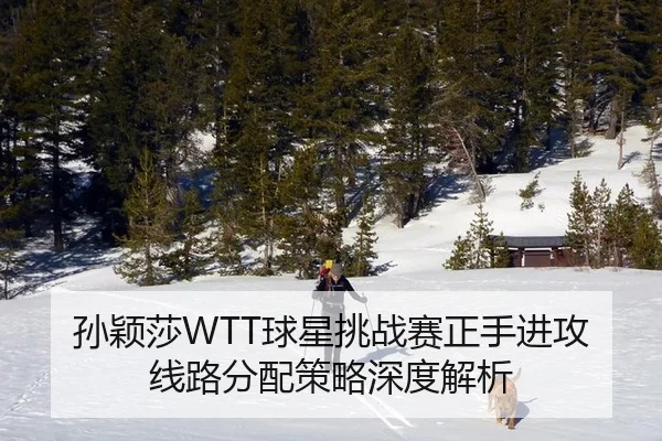 孙颖莎WTT球星挑战赛正手进攻线路分配策略深度解析
