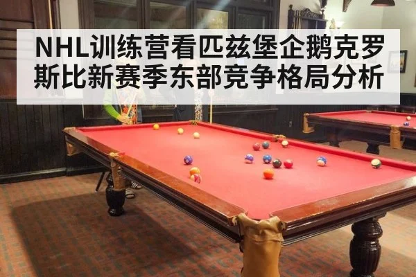 NHL训练营看匹兹堡企鹅克罗斯比新赛季东部竞争格局分析